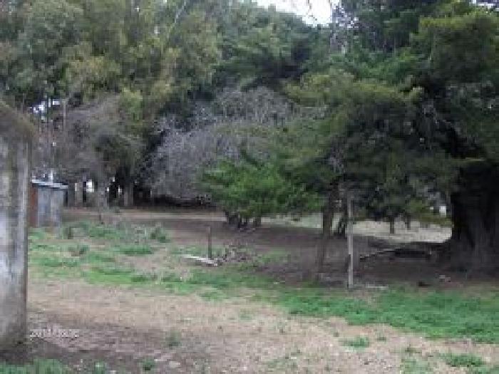 Campo en Azul 130 Has!! - 4