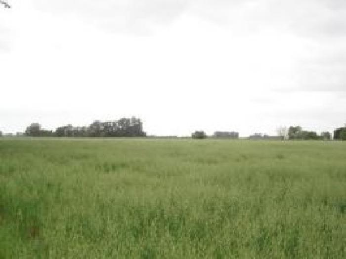 Propiedad rural de 6 hectáreas para uso - 1
