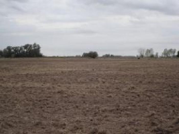 Propiedad rural de 6 hectáreas para uso - 2