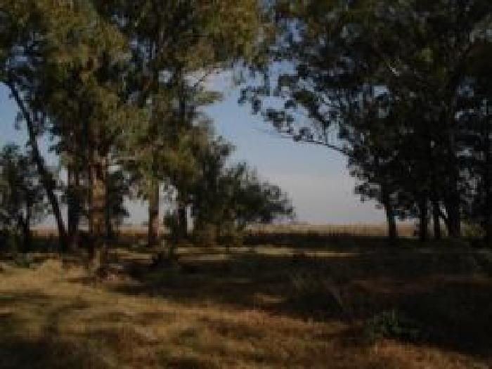 Propiedad rural de 6 hectáreas para uso - 3