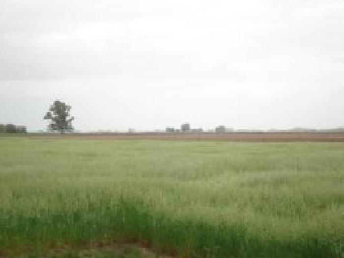 Propiedad rural de 6 hectáreas para uso - 4