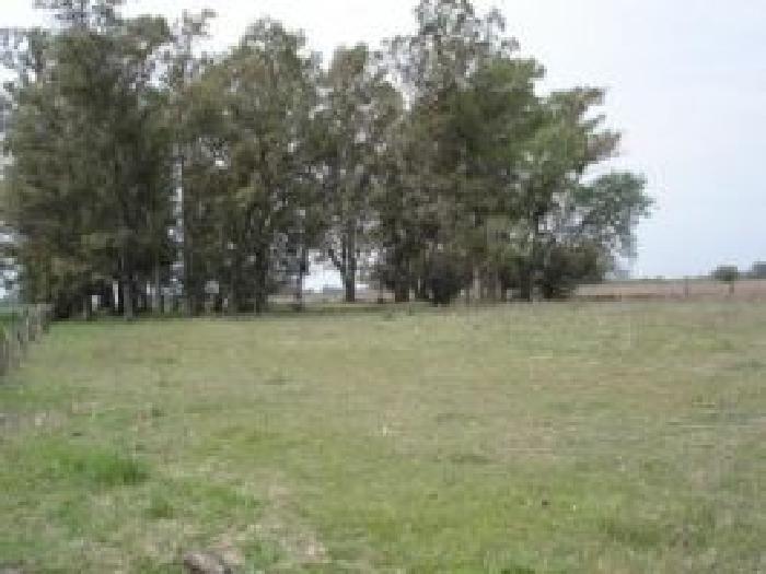 Propiedad rural de 6 hectáreas para uso - 5