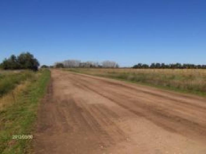 Propiedad rural de 6 hectáreas para uso - 6