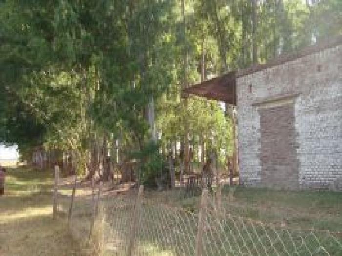 Campo en Venta en Las Flores - 3