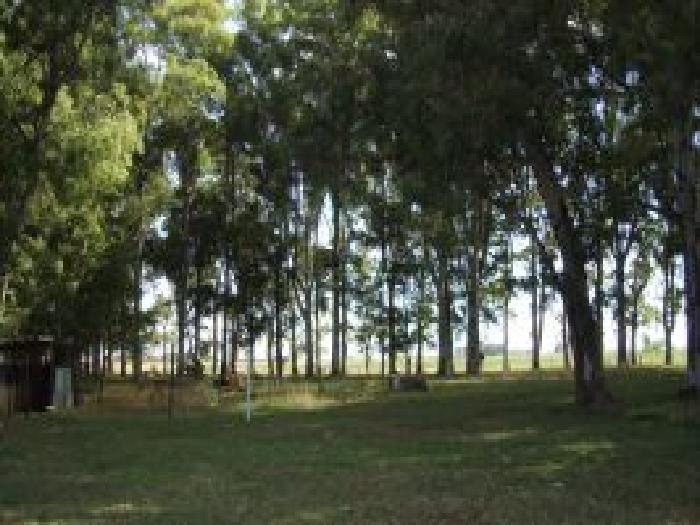 Campo en Venta en Las Flores - 8