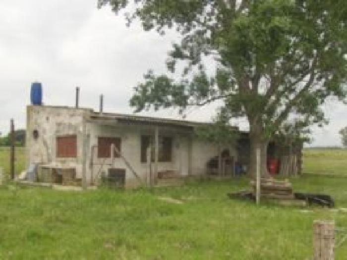 Campo en venta 12 Has - 3