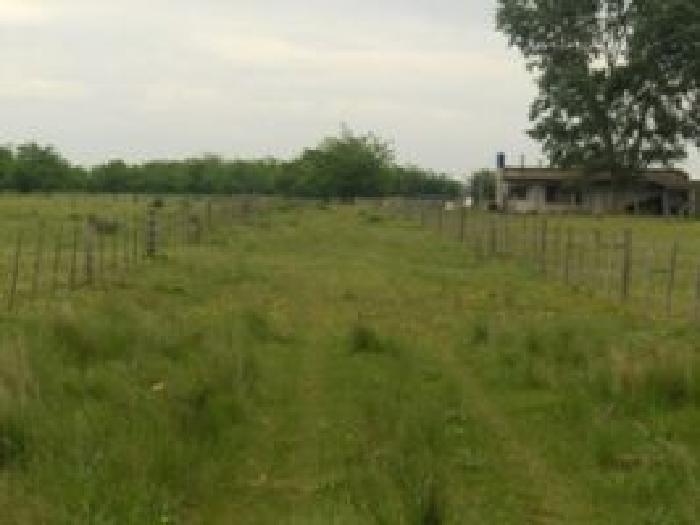 Campo en venta 12 Has - 4