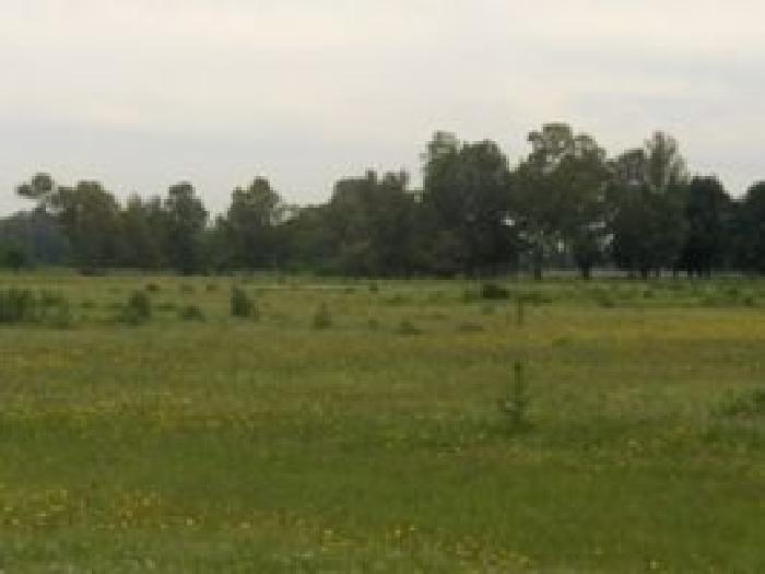 Campo en venta 12 Has - 5