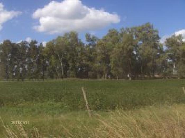Campo 7 has. Lobos, Estación Elvira — foto 2