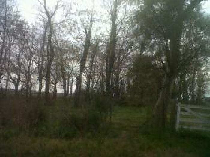 Campo de 13 has en Lobos