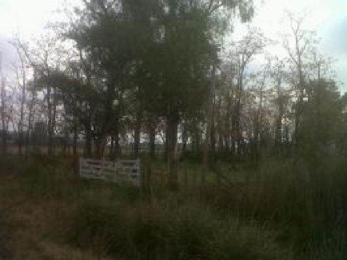 Campo de 13 has en Lobos — foto 2
