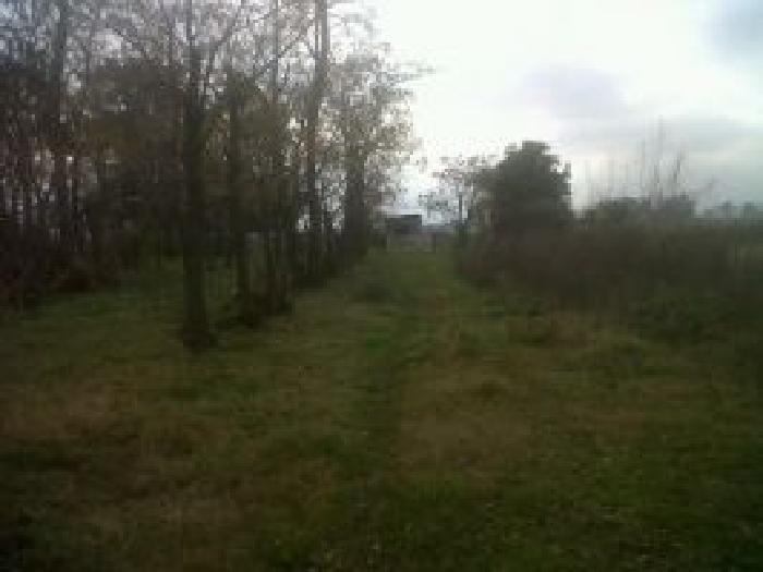 Campo de 13 has en Lobos — foto 3