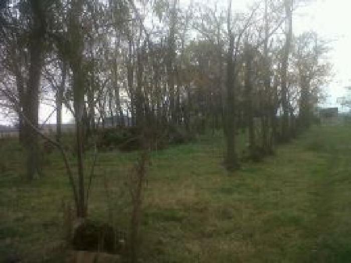 Campo de 13 has en Lobos — foto 4