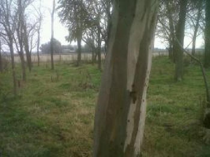 Campo de 13 has en Lobos — foto 5