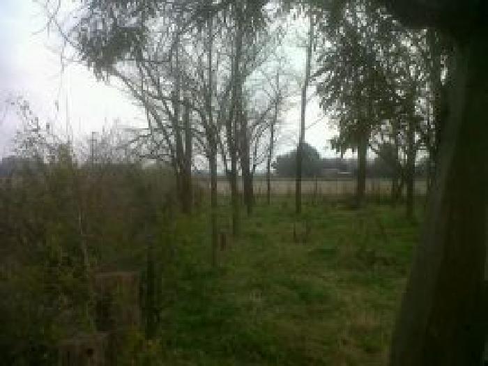 Campo de 13 has en Lobos — foto 6