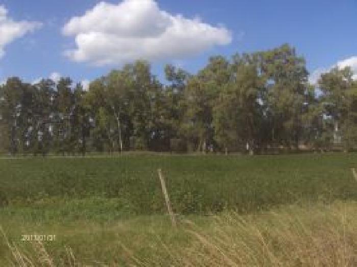 Campo en Lobos!! — foto 2