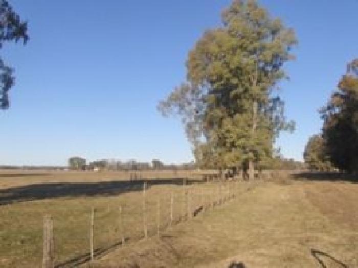 Chacra en venta - 2