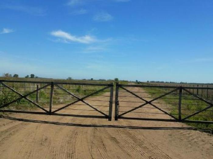 Campo 630 Has en 25 de Mayo - 17