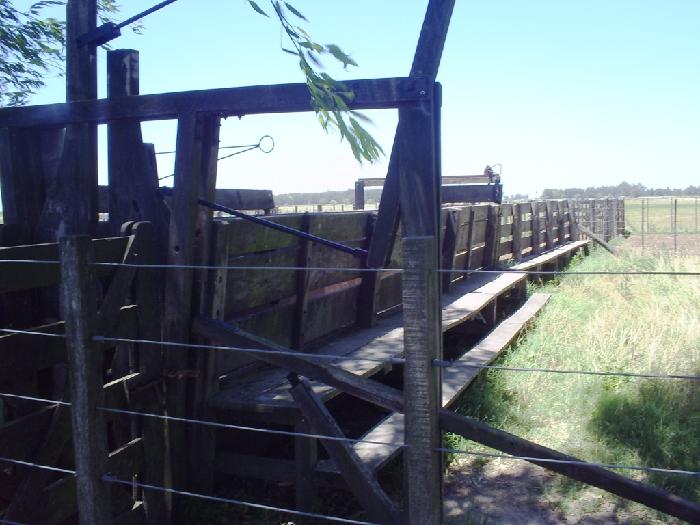Campo en Lobos 150 has — foto 7