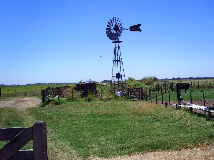 Campo en Lobos 150 has — foto 10