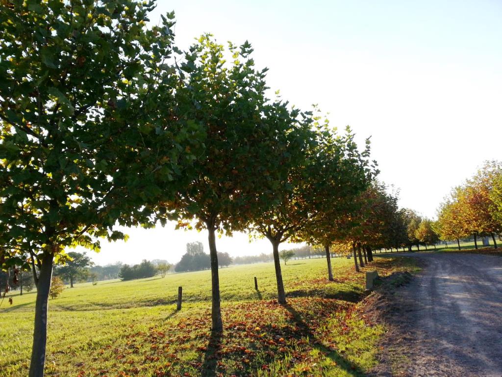 Estancia Villa María - Sector Los Álamos — foto 5