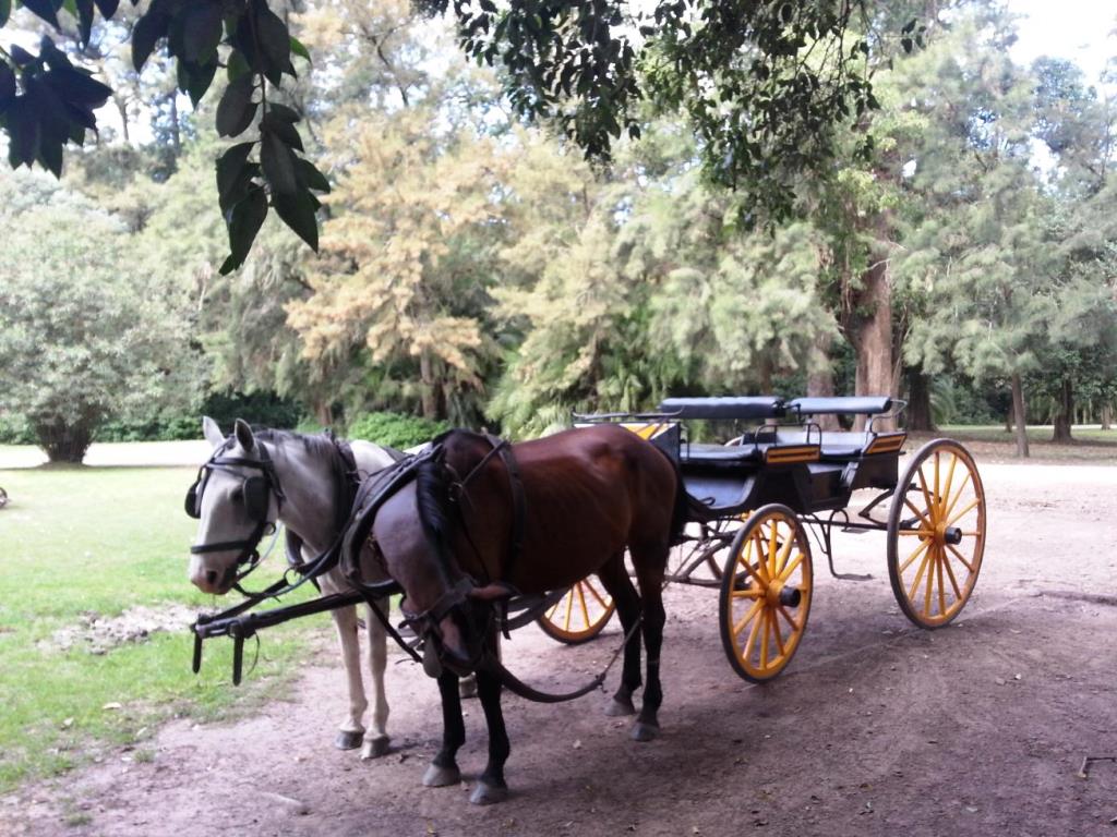 Estancia Villa María - Sector Los Álamos — foto 15