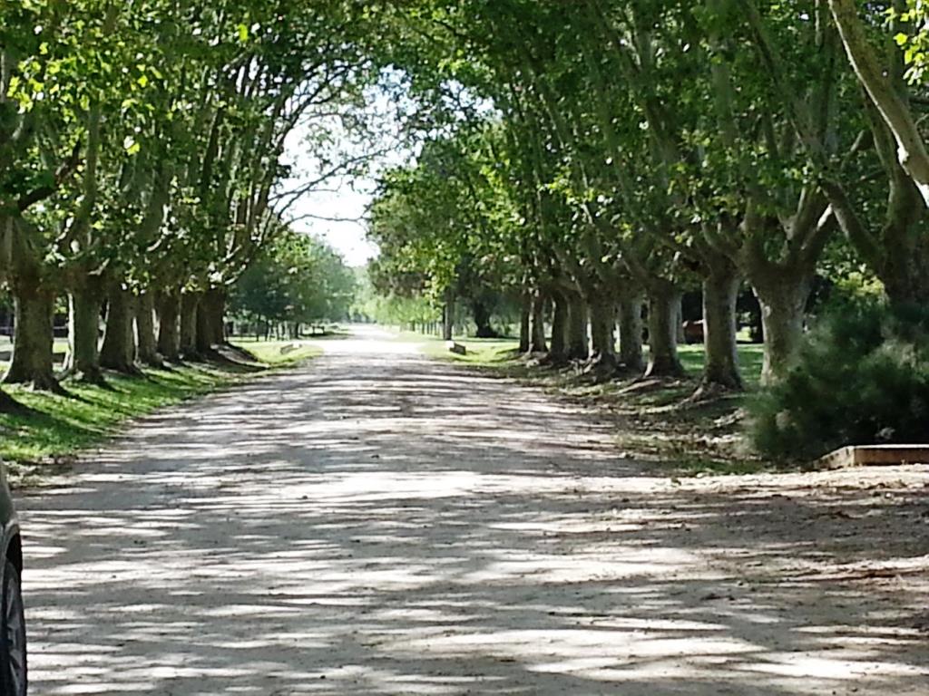Estancia Villa María - Sector Los Silos — foto 4