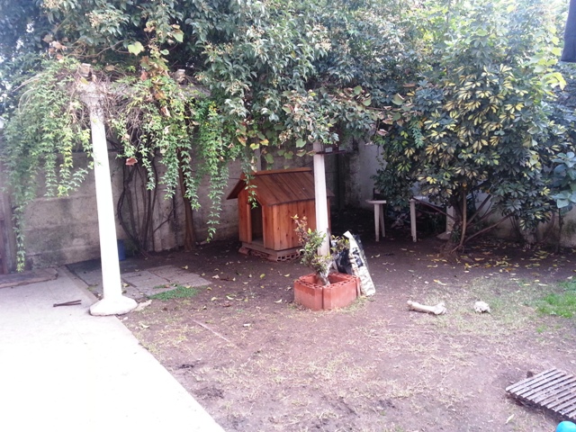 Chalet 4 dormitorios en Banfield — foto 3