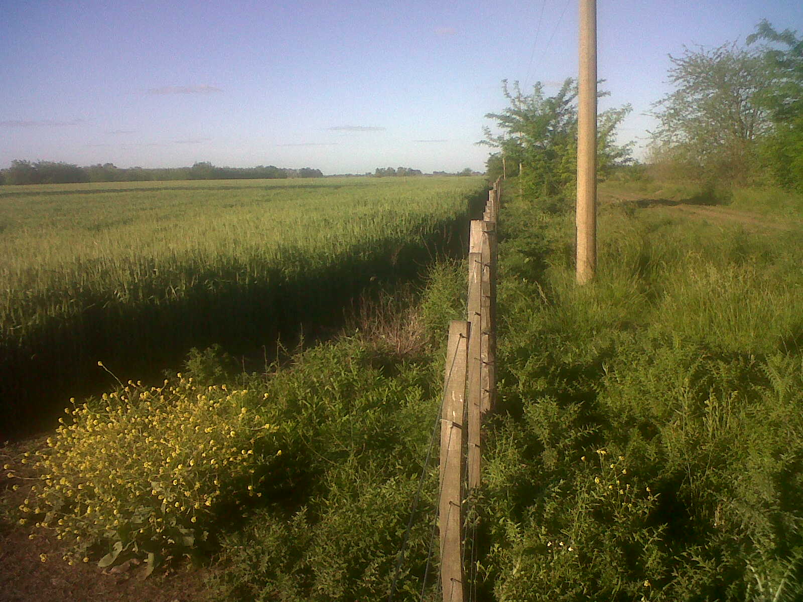 Campo 40 has en Lobos — foto 2