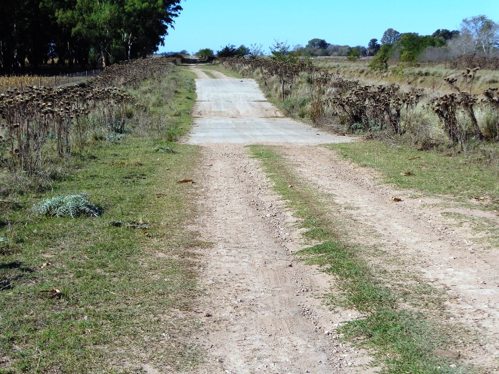 Campo Tapalque - 1