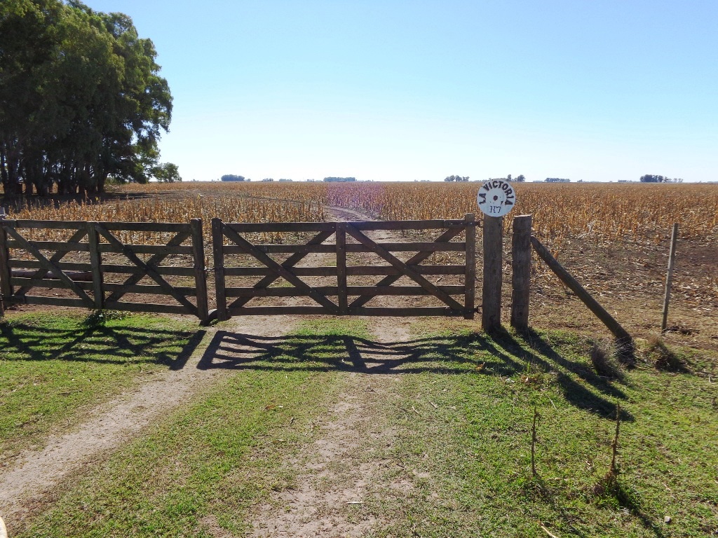 Campo Tapalque - 2
