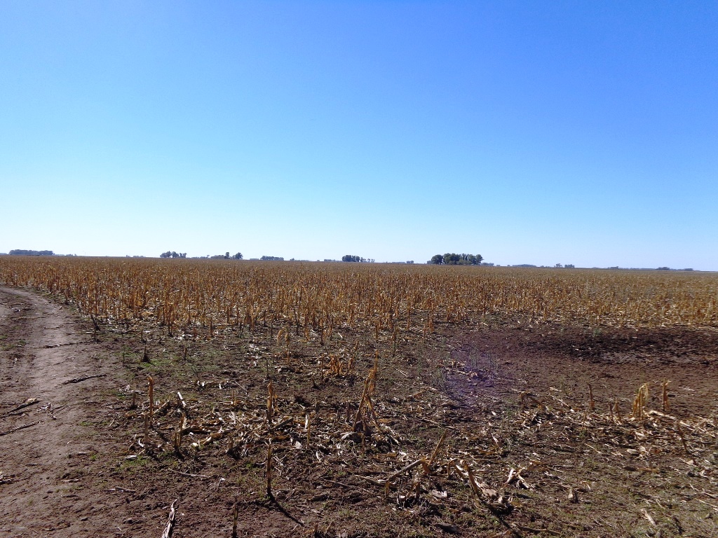 Campo Tapalque - 3