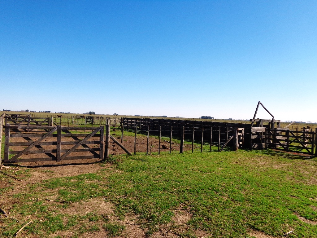 Campo Tapalque - 6