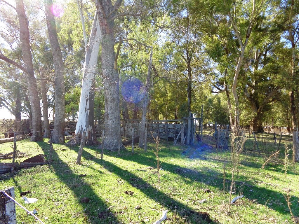 Campo Tapalque - 7