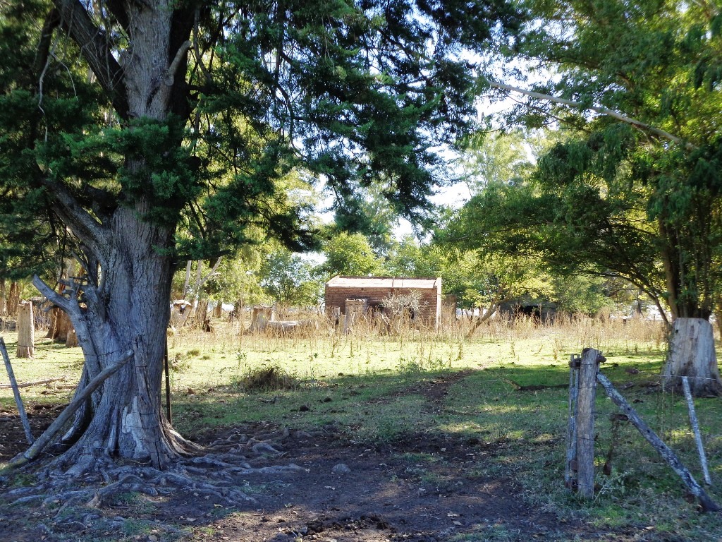 Campo Tapalque - 9