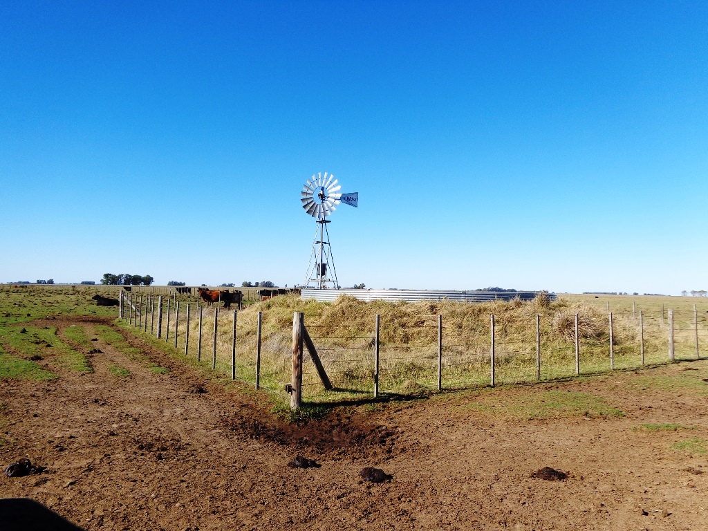 Campo Tapalque - 10
