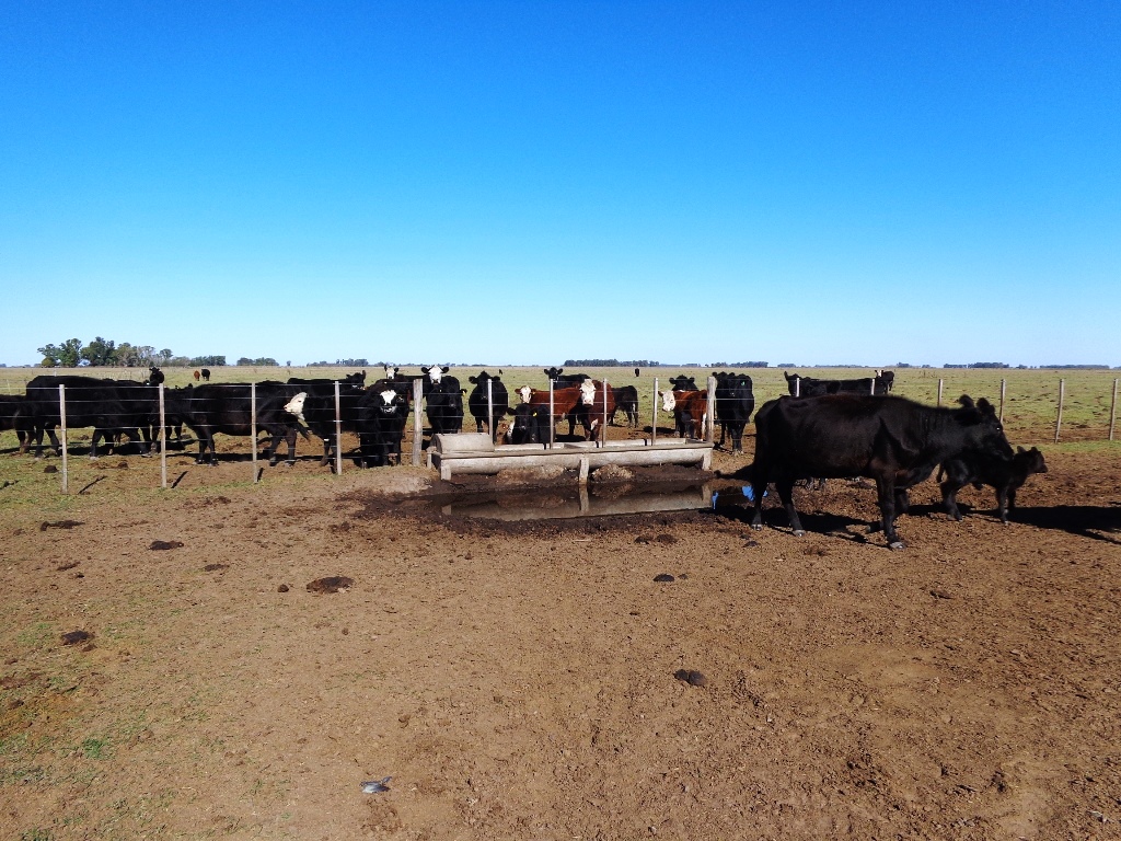 Campo Tapalque - 11