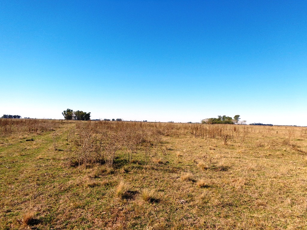 Campo Tapalque - 13
