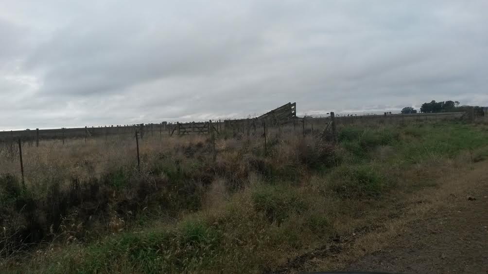 EXCELENTE CAMPO - 2