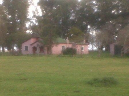 Campo en Rauch, 202 Has - 2