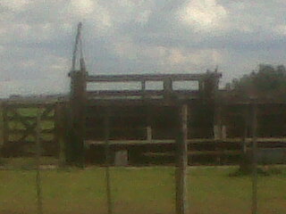 Campo en Rauch, 202 Has - 7