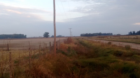 Campo en Pedernales 24 Has - 2