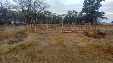 Campo en Pedernales 24 Has - 5