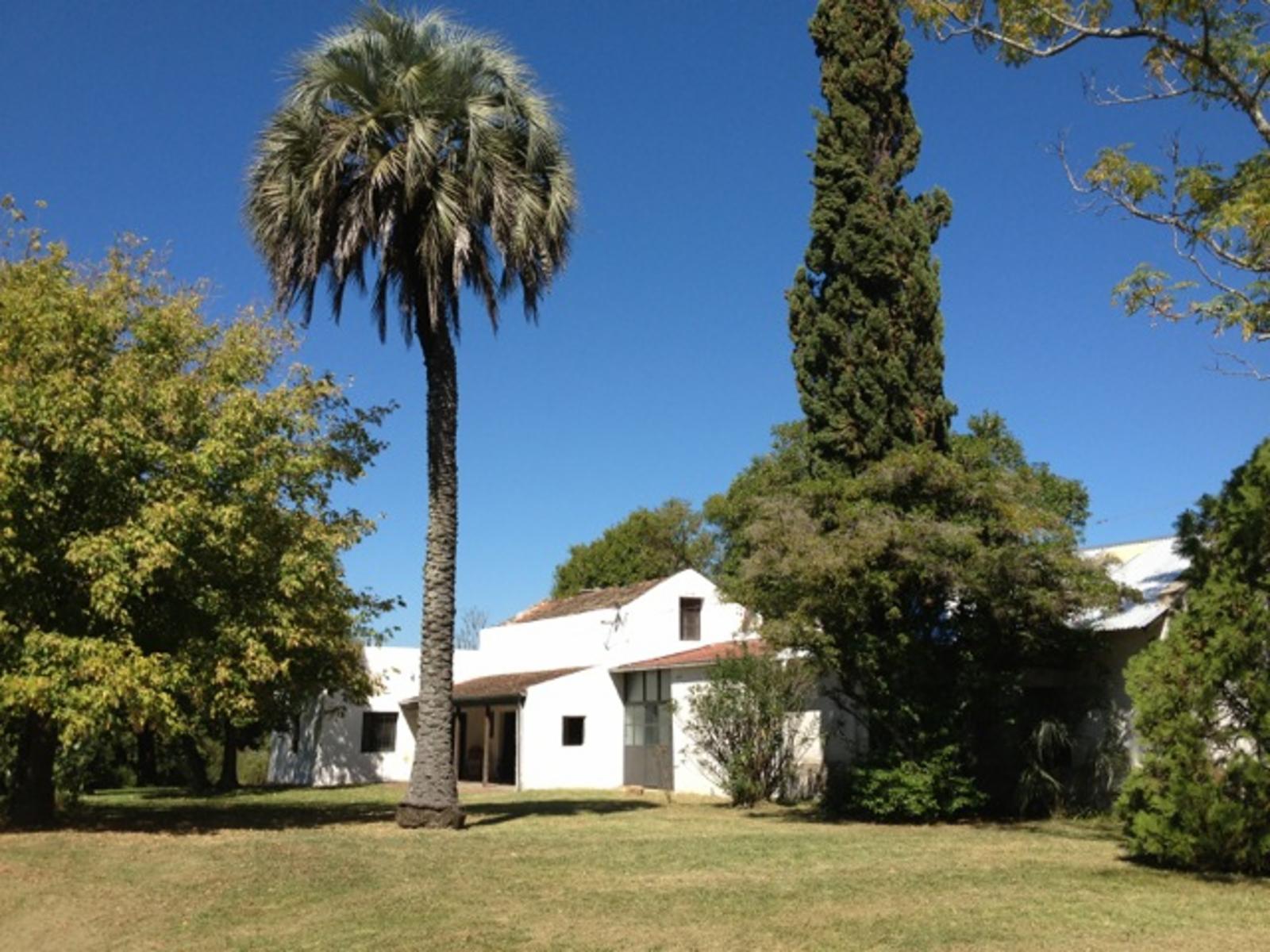 Casona Antigüa sobre Calle Pública, a 800 mts del Rìo. EJIDO SAN JOSE. — foto 4