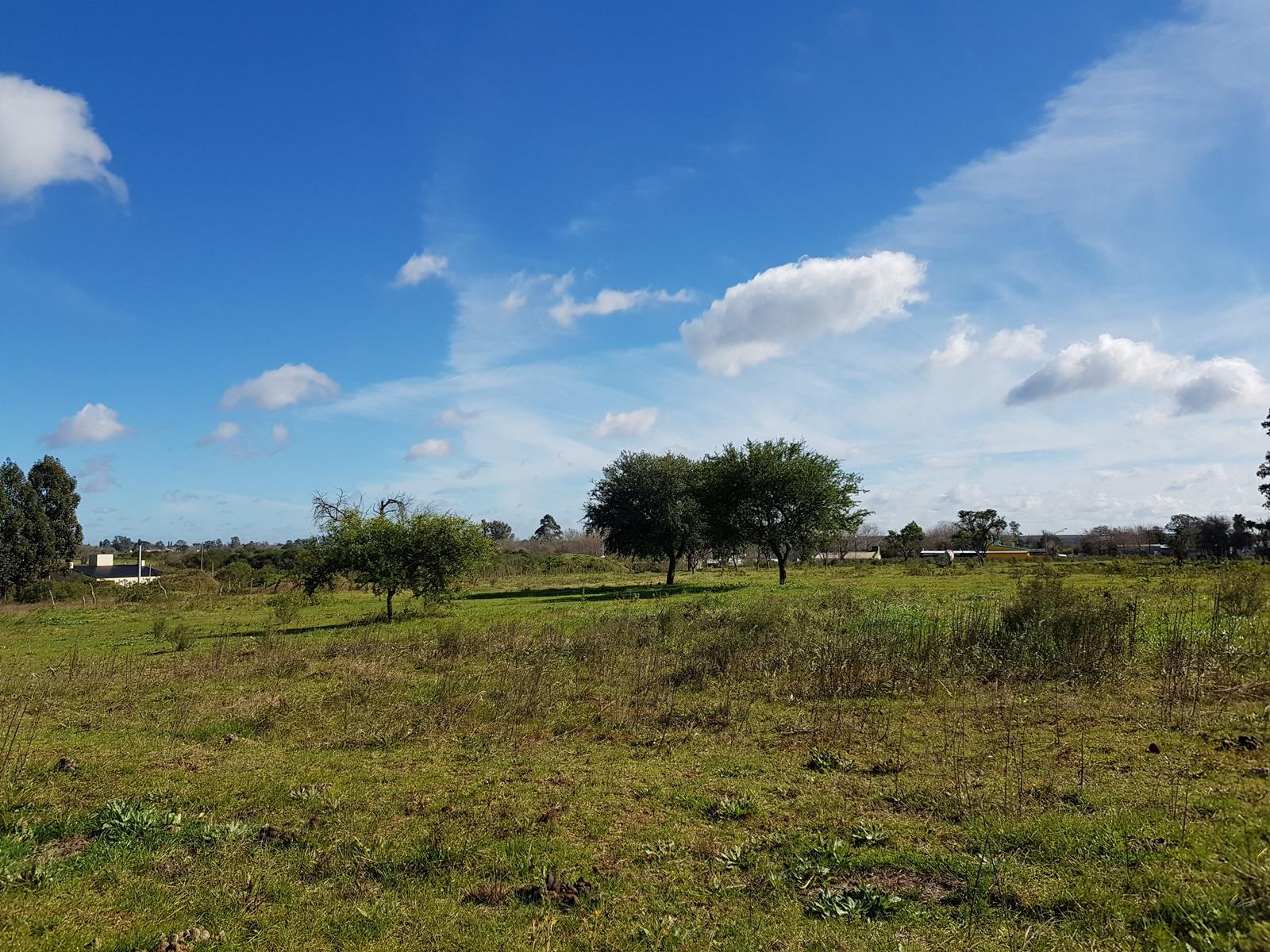 2,5 Has a 800 mts de Camino a Liebig. DEPARTAMENTO COLON. - 2