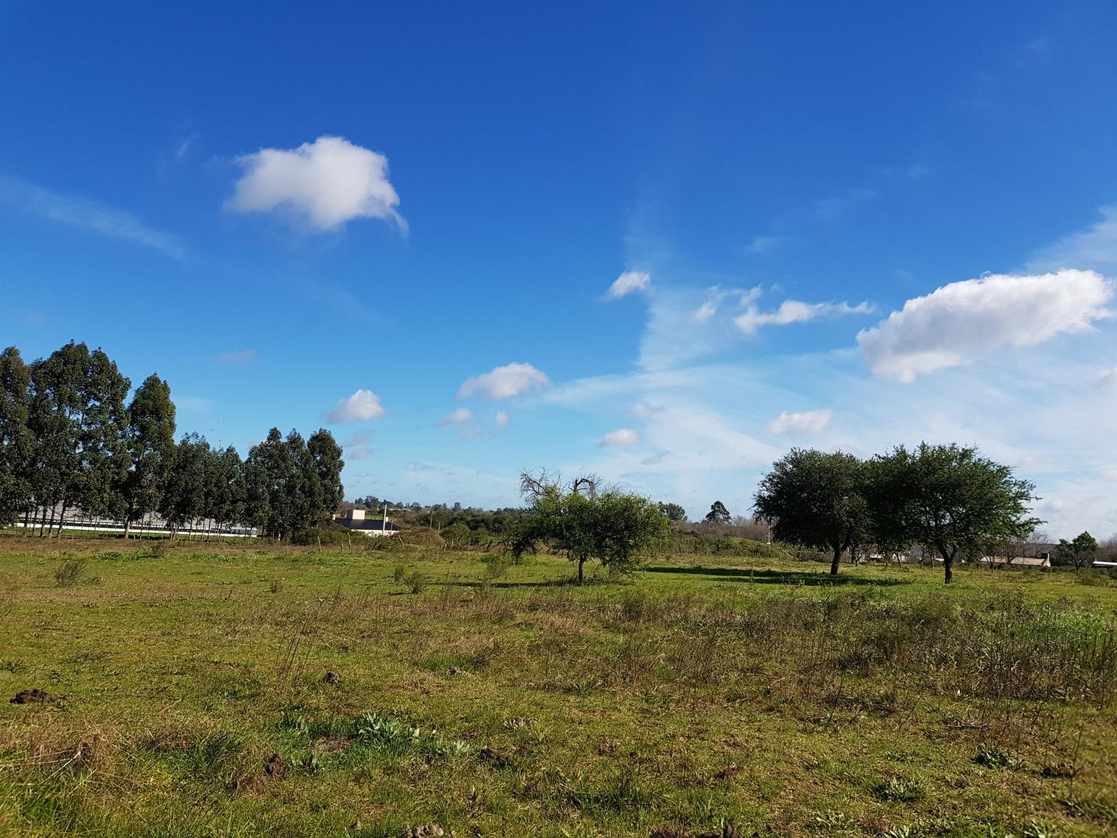 2,5 Has a 800 mts de Camino a Liebig. DEPARTAMENTO COLON. - 4