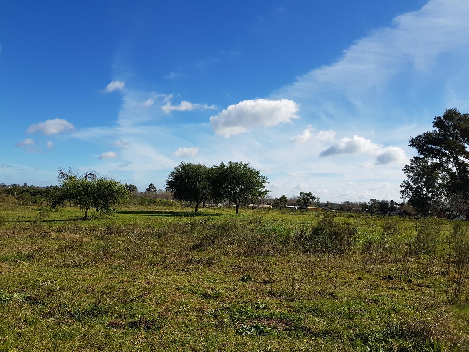 2,5 Has a 800 mts de Camino a Liebig. DEPARTAMENTO COLON. - 5