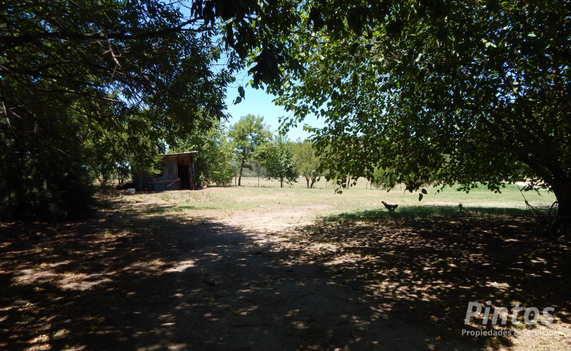 Casa de Campo sobre calle San José Obrero. SAN JOSE. — foto 15