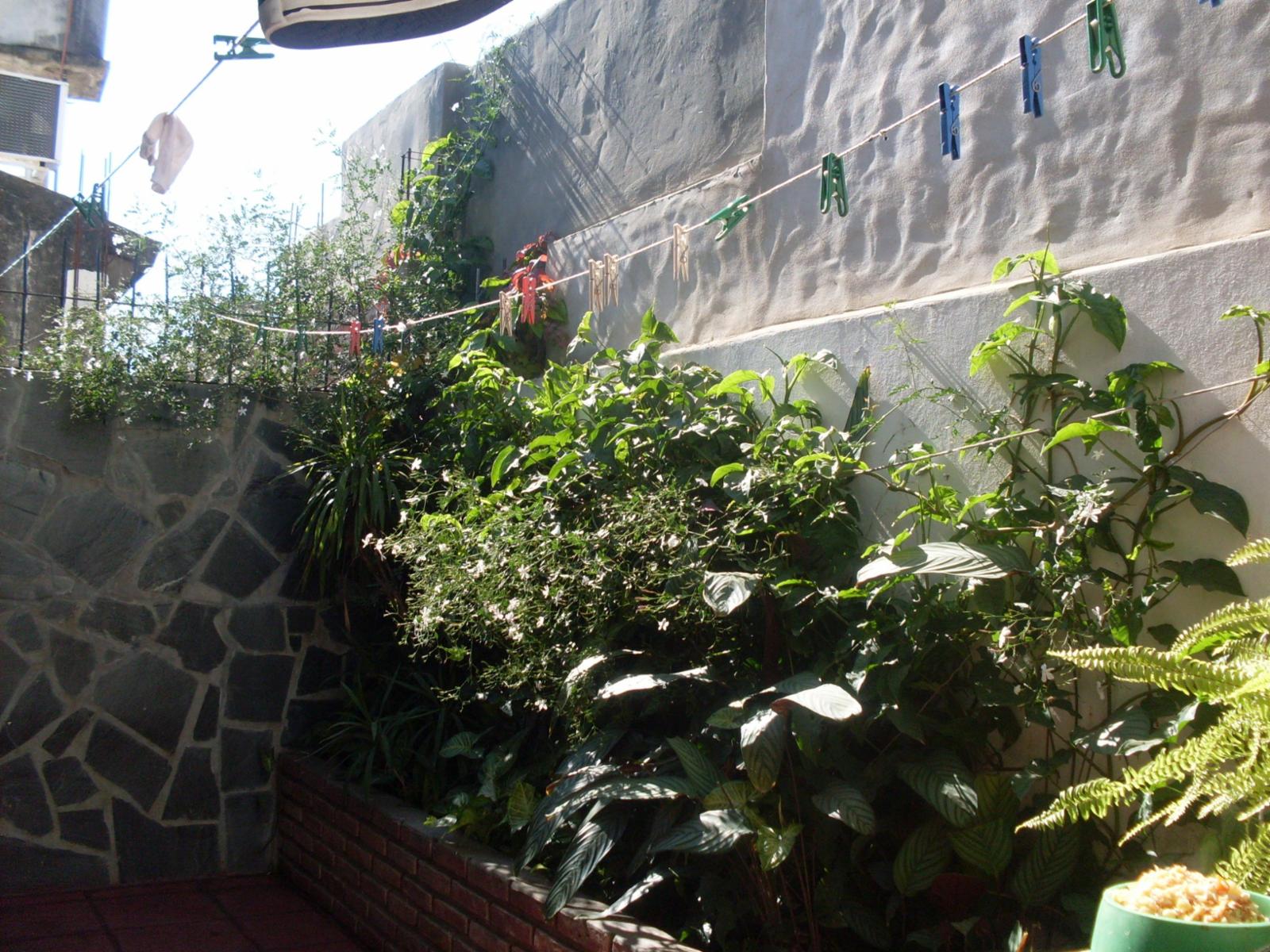 Casa Habitación sobre calle Sagastume. CONCEPCION DEL URUGUAY. — foto 9