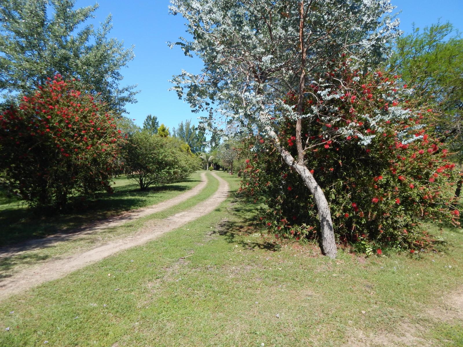 Complejo turístico. Zona Molino Forclaz. EJIDO COLON. - 4